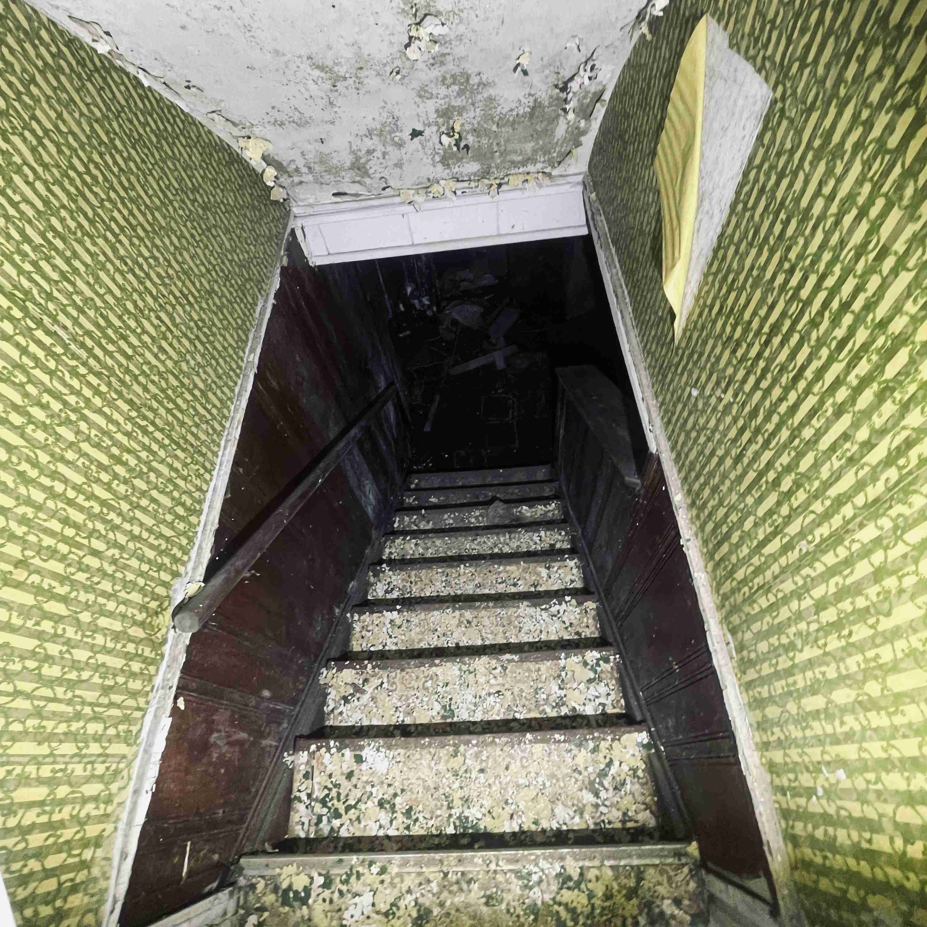 4277 TUXEDO (59).jpg